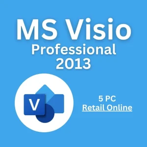 MS Visio 2013 Professional 5PC Retail
