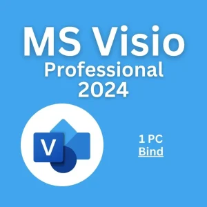 MS Visio 2024 Professional 1PC Bind