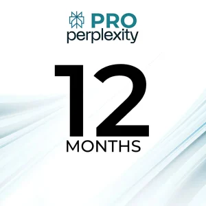 Perplexity pro12 months